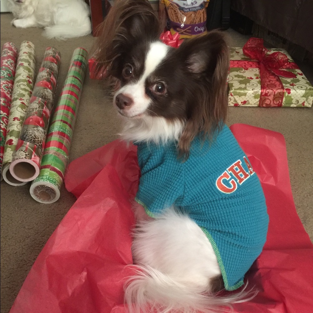 Meet your Posher, Jensey